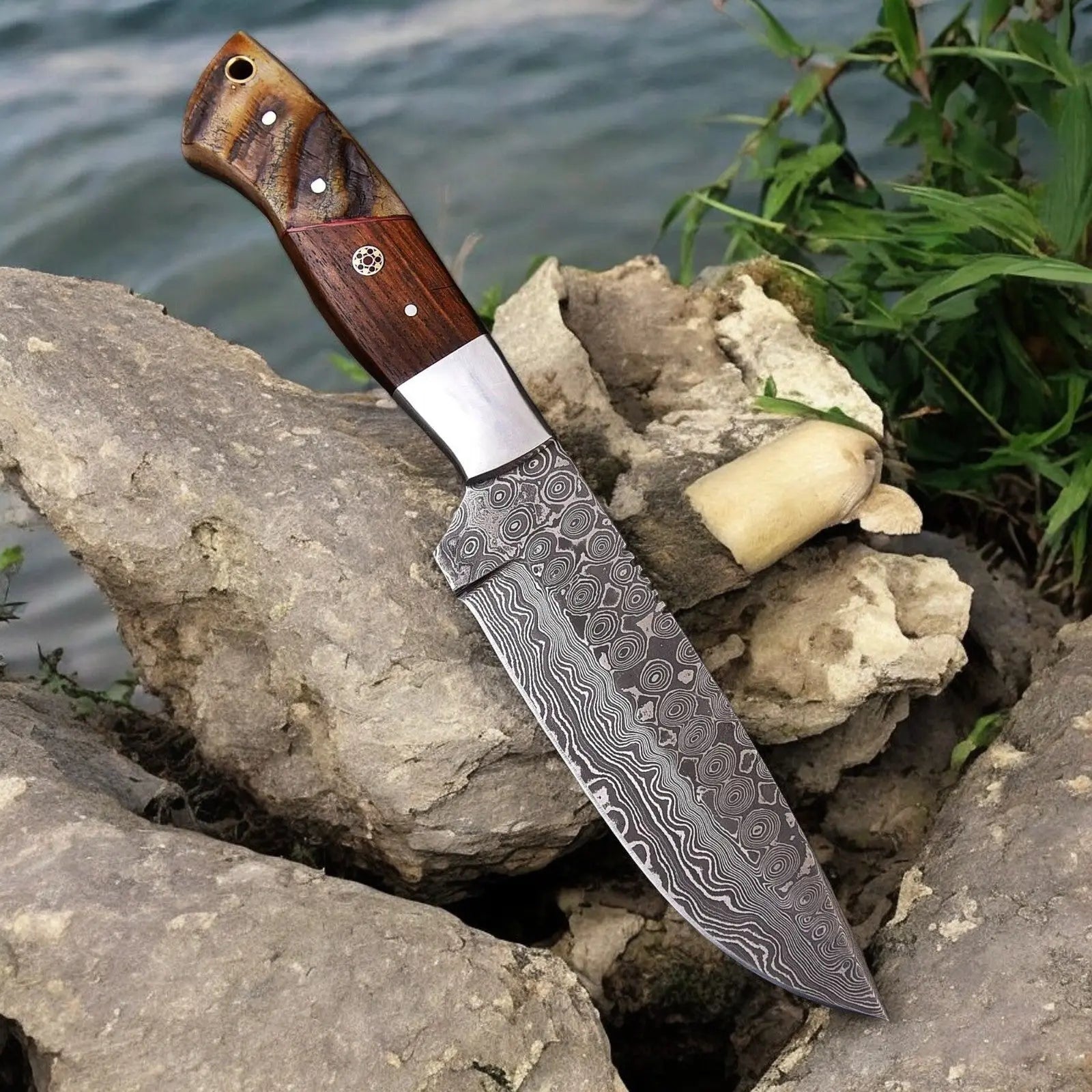 Handmade Damascus Hunting Knife | Sheep Horn & Rosewood by Damascus Knife Store, Damascus knife main product photo