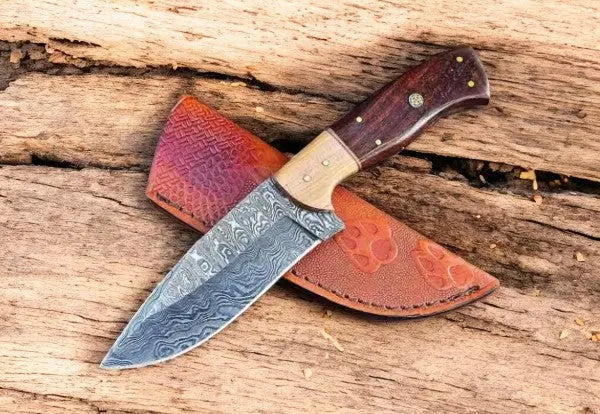 Handmade Damascus Hunting Knife with Rosewood & Olivewood Damascus Knife Store
