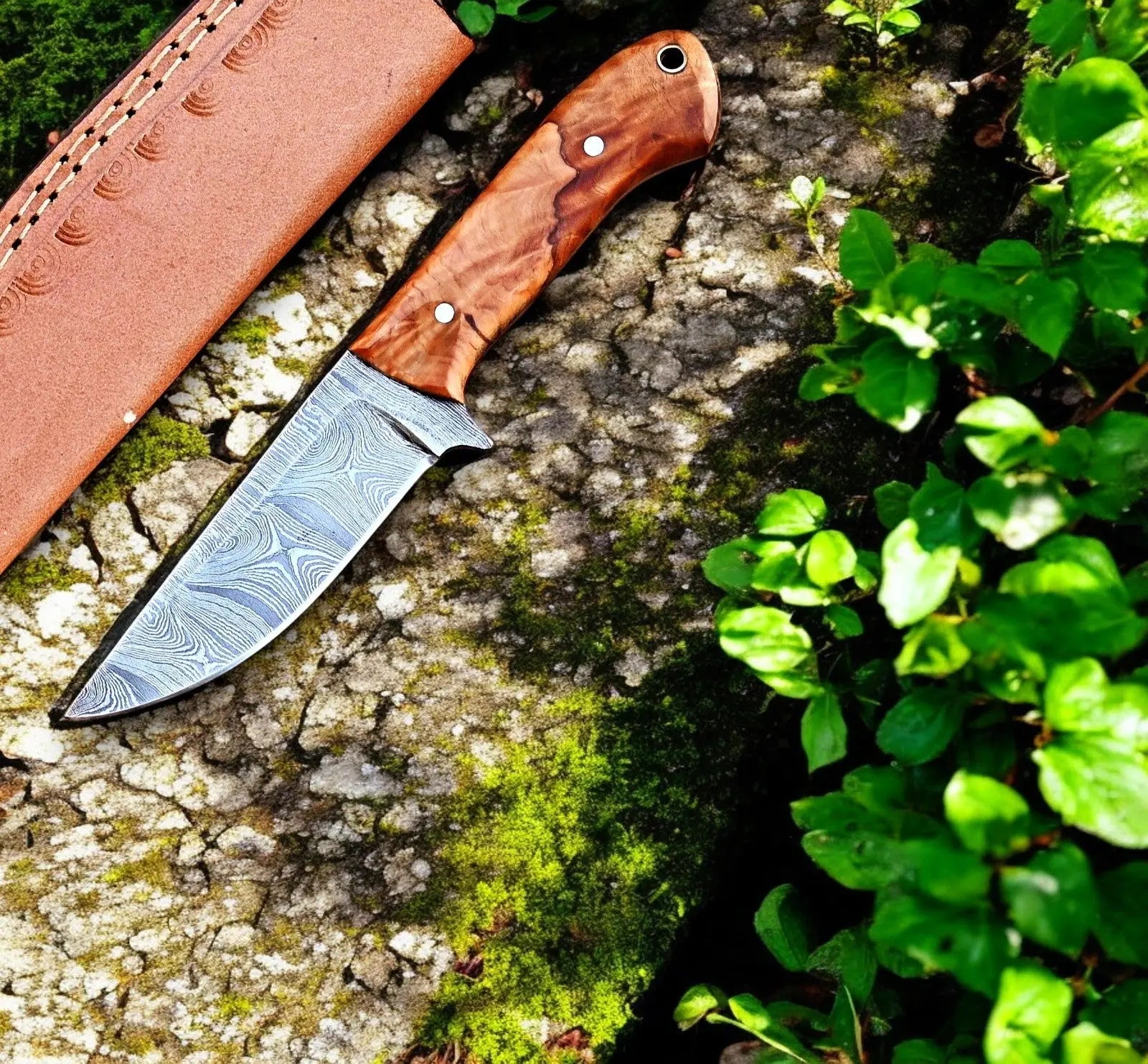 Handmade Damascus Steel Skinning Knife with Olive Wood Handle Damascus Knife Store