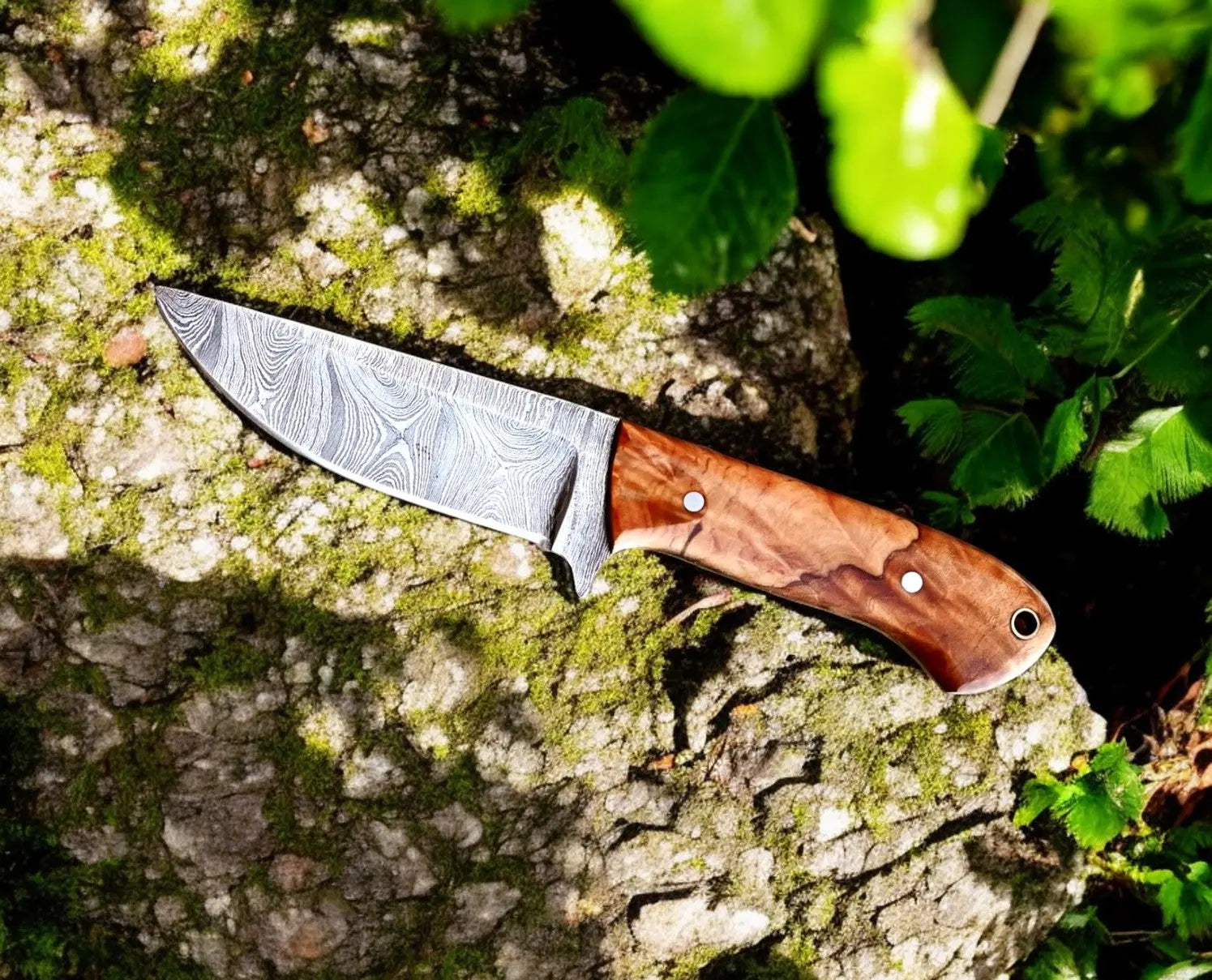 Handmade Damascus Steel Skinning Knife with Olive Wood Handle Damascus Knife Store