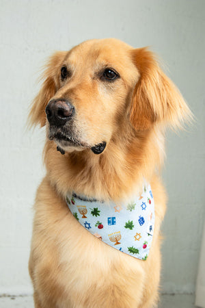 Hanukkah Reversible Dog Bandana by Dog Bandana Co., product view 6