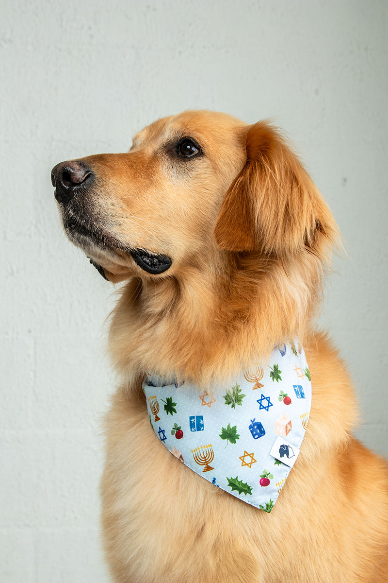 Hanukkah Reversible Dog Bandana by Dog Bandana Co., product view 4