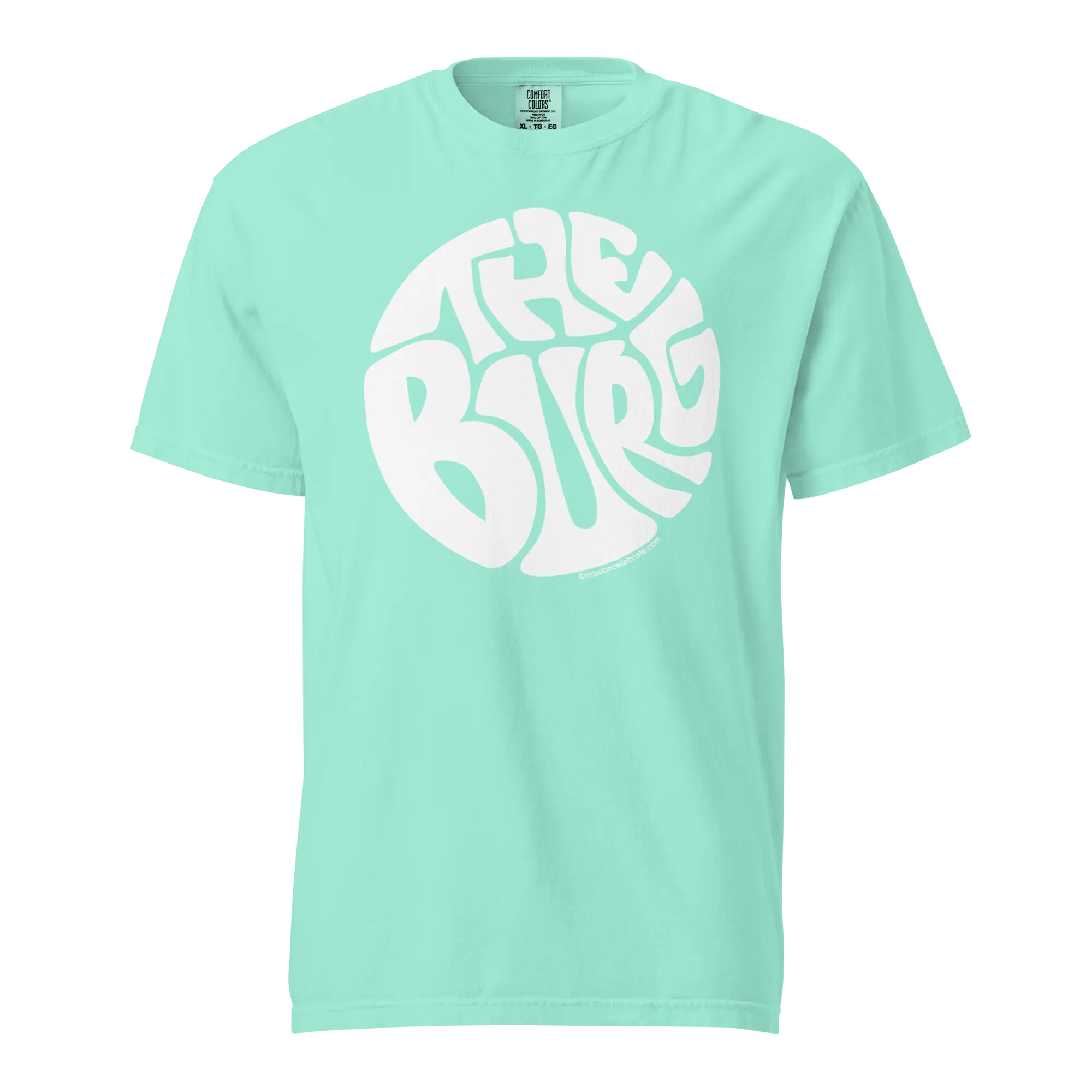 Hattiesburg MS "The Burg" T-Shirt - Retro Comfort Colors Tee - Handlettered Hub City Design - Unisex