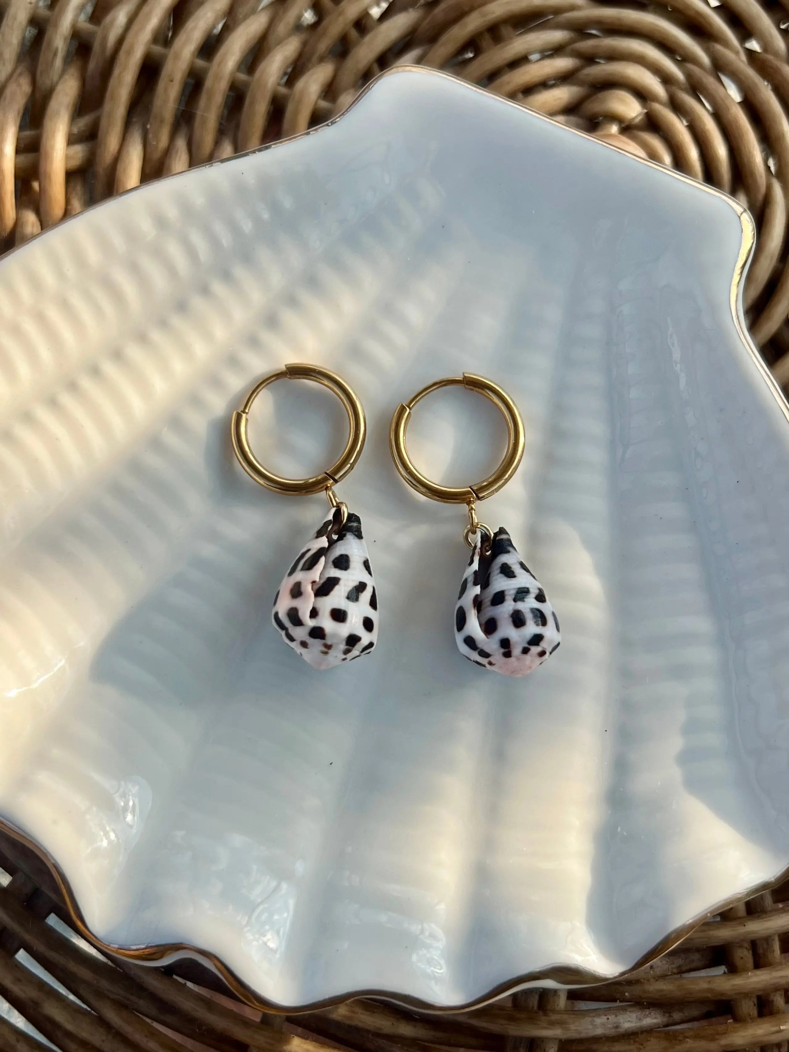 Hebrew Cone Shell Earrings HALT