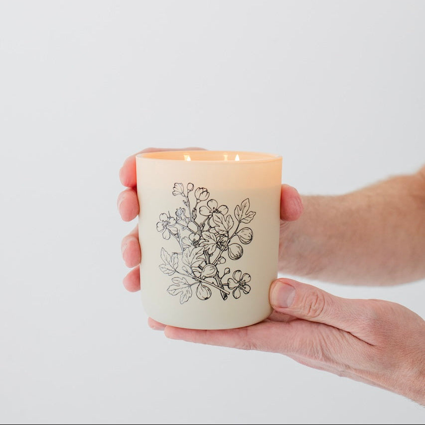 12oz Orchard Luxury Soy Candle by Jack Be Nimble Candles image 4