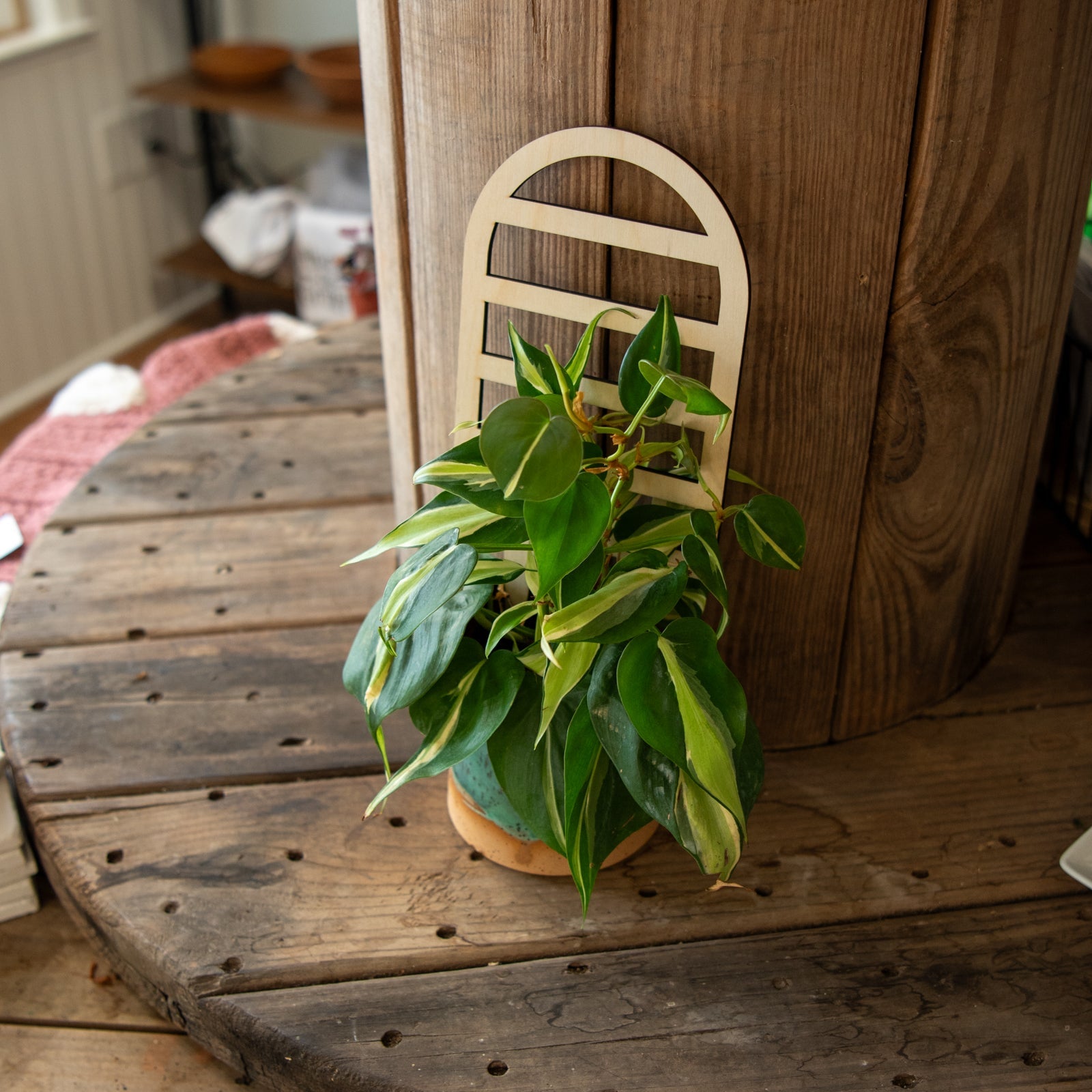 Plant Trellis - Arch by Still Magnolia, trellises detail photo 2
