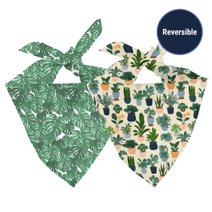 House Plant Reversible Dog Bandana
