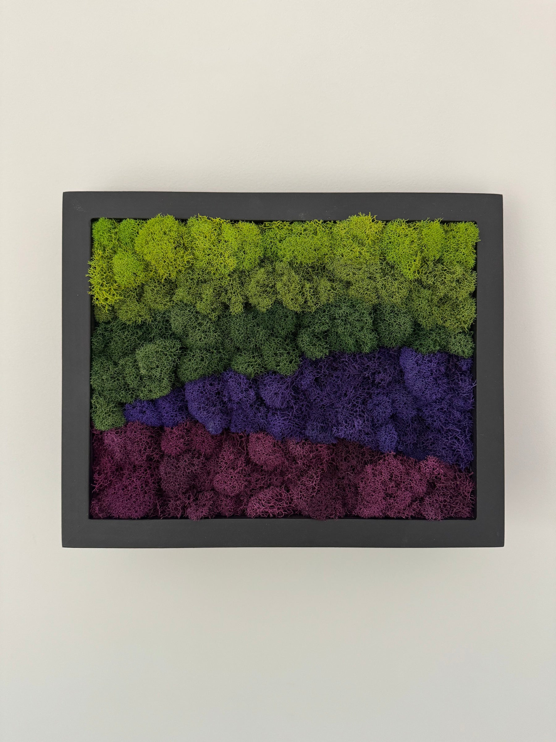 Purple Mountains, Rectangle