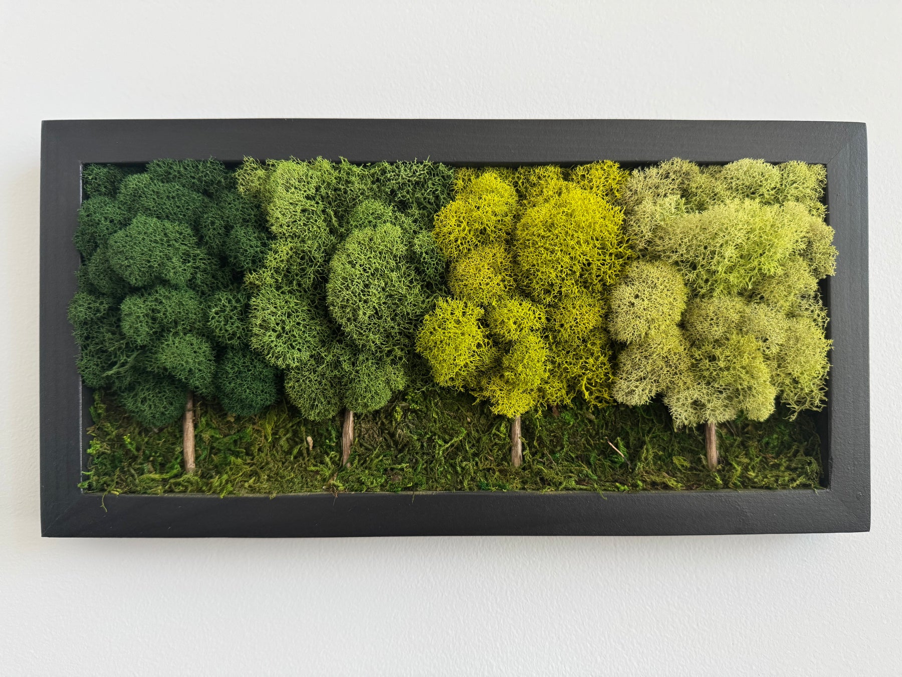 4 Tree Forest, Rectangle