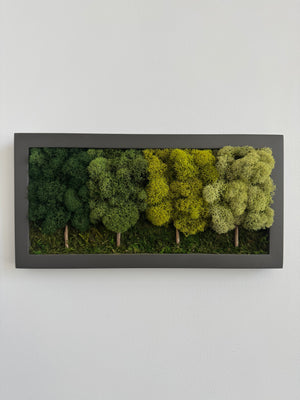 4 Tree Forest, Rectangle