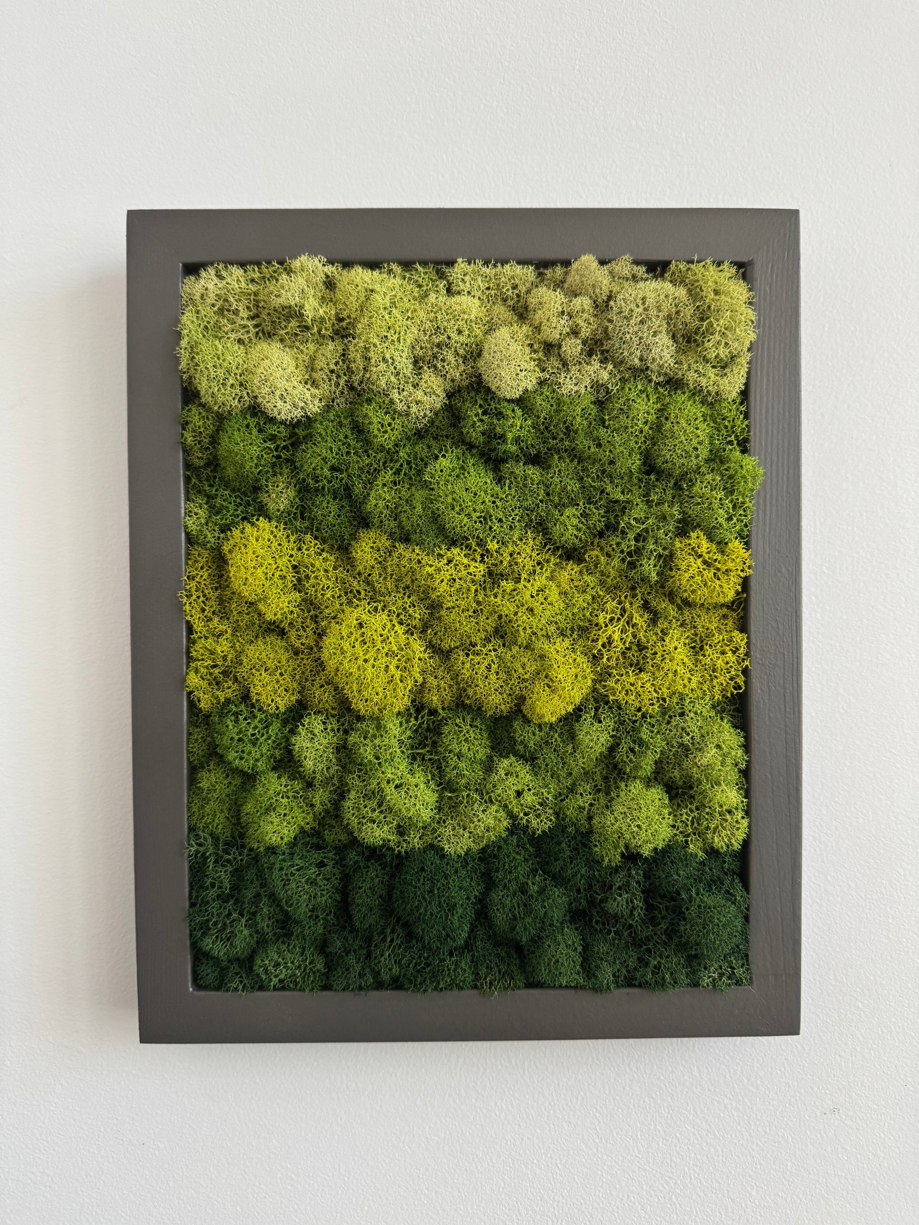 Vertical Gradient, Rectangle