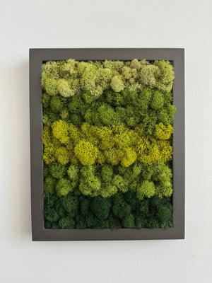 Vertical Gradient, Rectangle