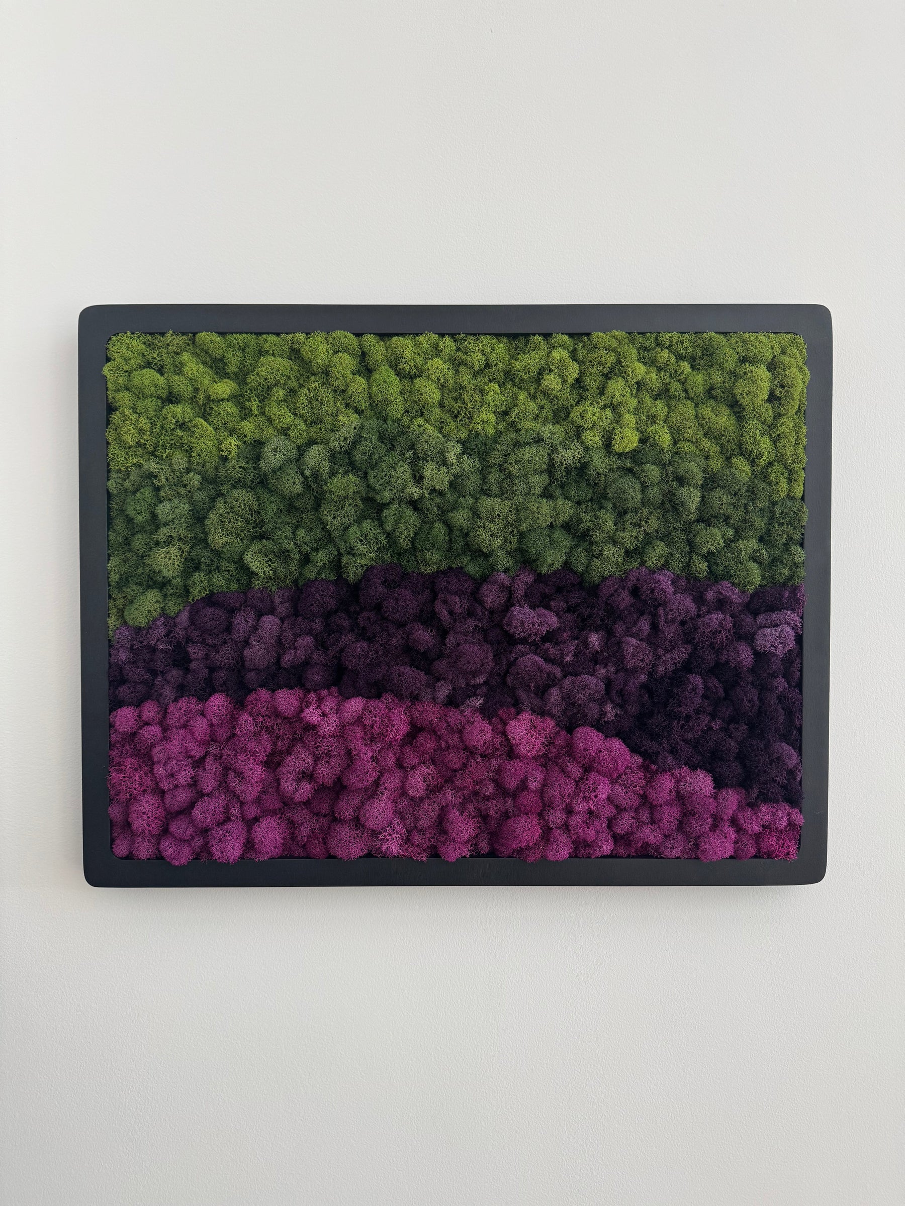 Purple Mountains, Rectangle