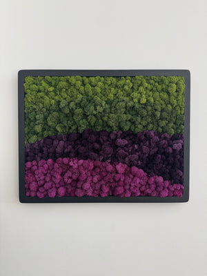 Purple Mountains, Rectangle