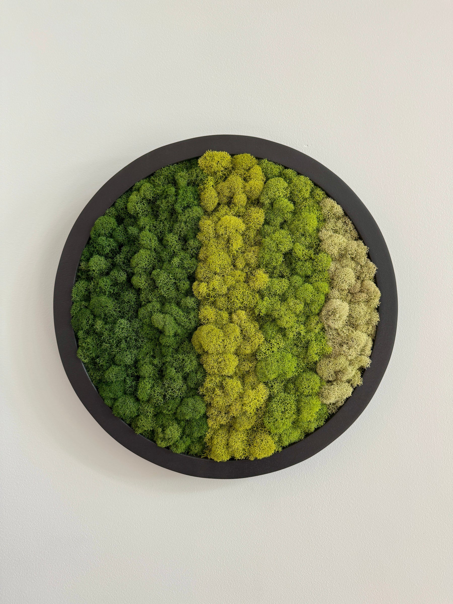 Horizontal Gradient, Circle