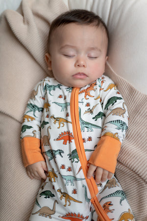 Boho Dinosaur | Zippy by Boosh Baby image 2