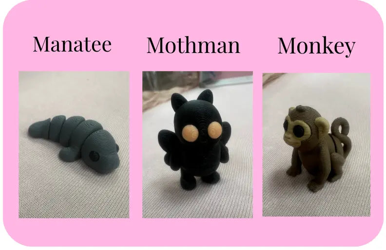 Individual Little Fidget Mushroom Lady Co