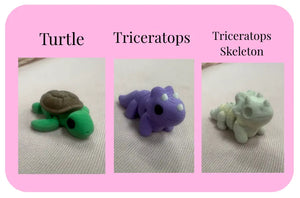 Individual Little Fidget Mushroom Lady Co
