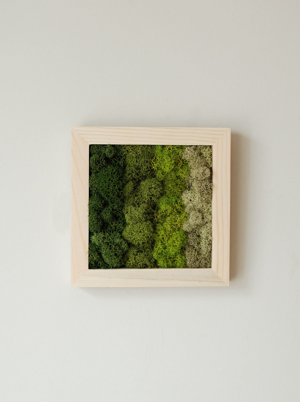 Horizontal Gradient, Square