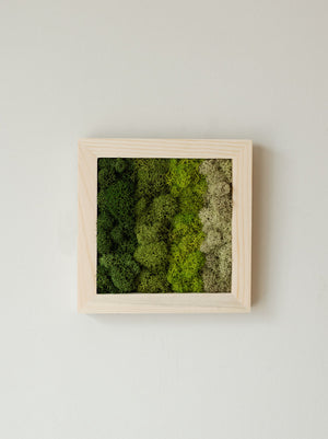 Horizontal Gradient, Square