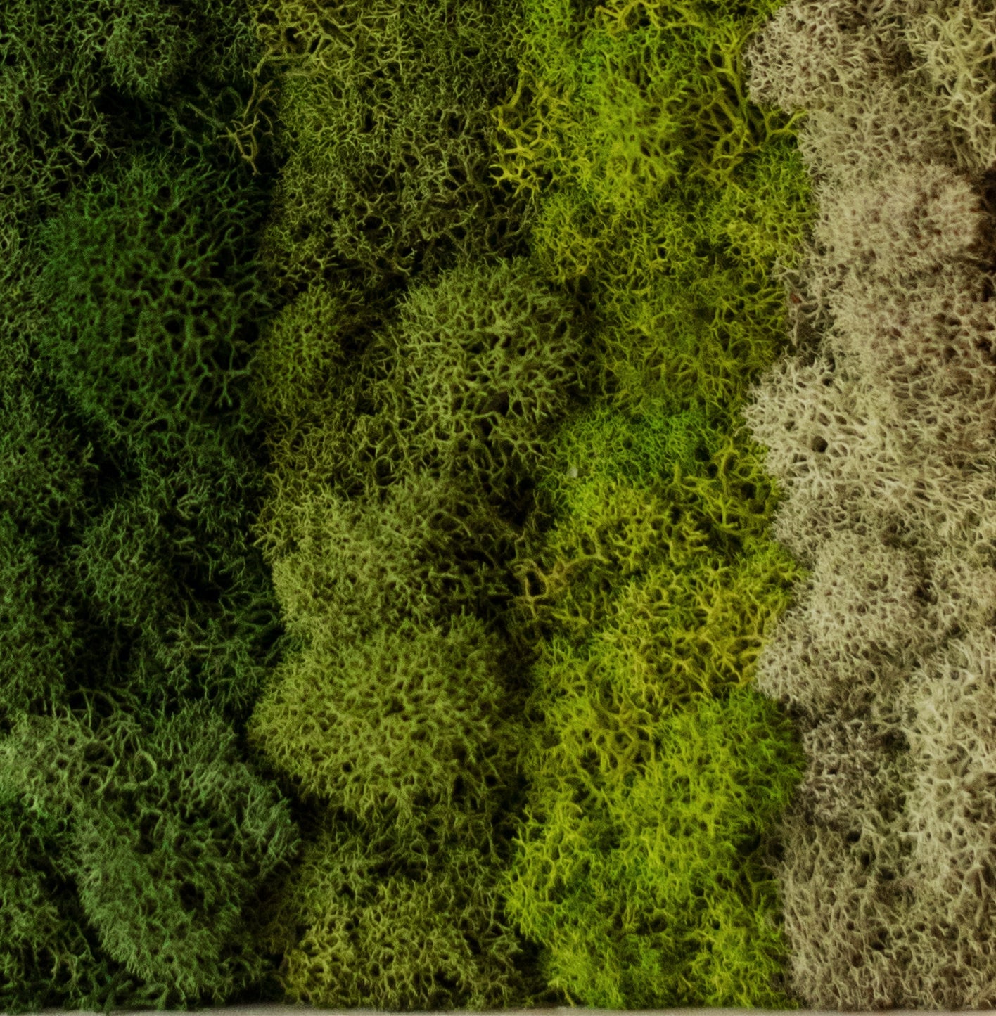 Horizontal Gradient, Rectangle