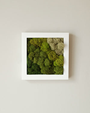Diagonal Gradient, Square