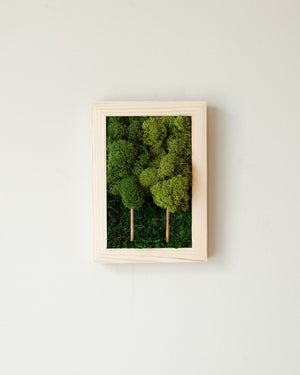 2 Tree Forest, Rectangle