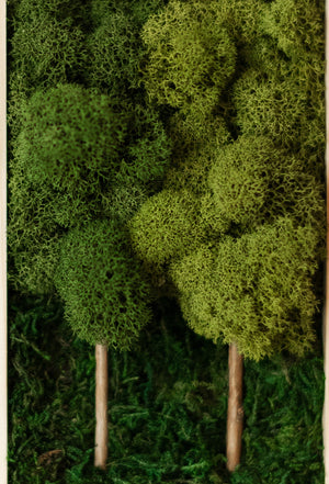 2 Tree Forest, Rectangle