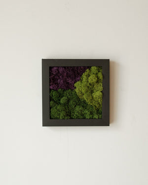 Purple Mountains, Square