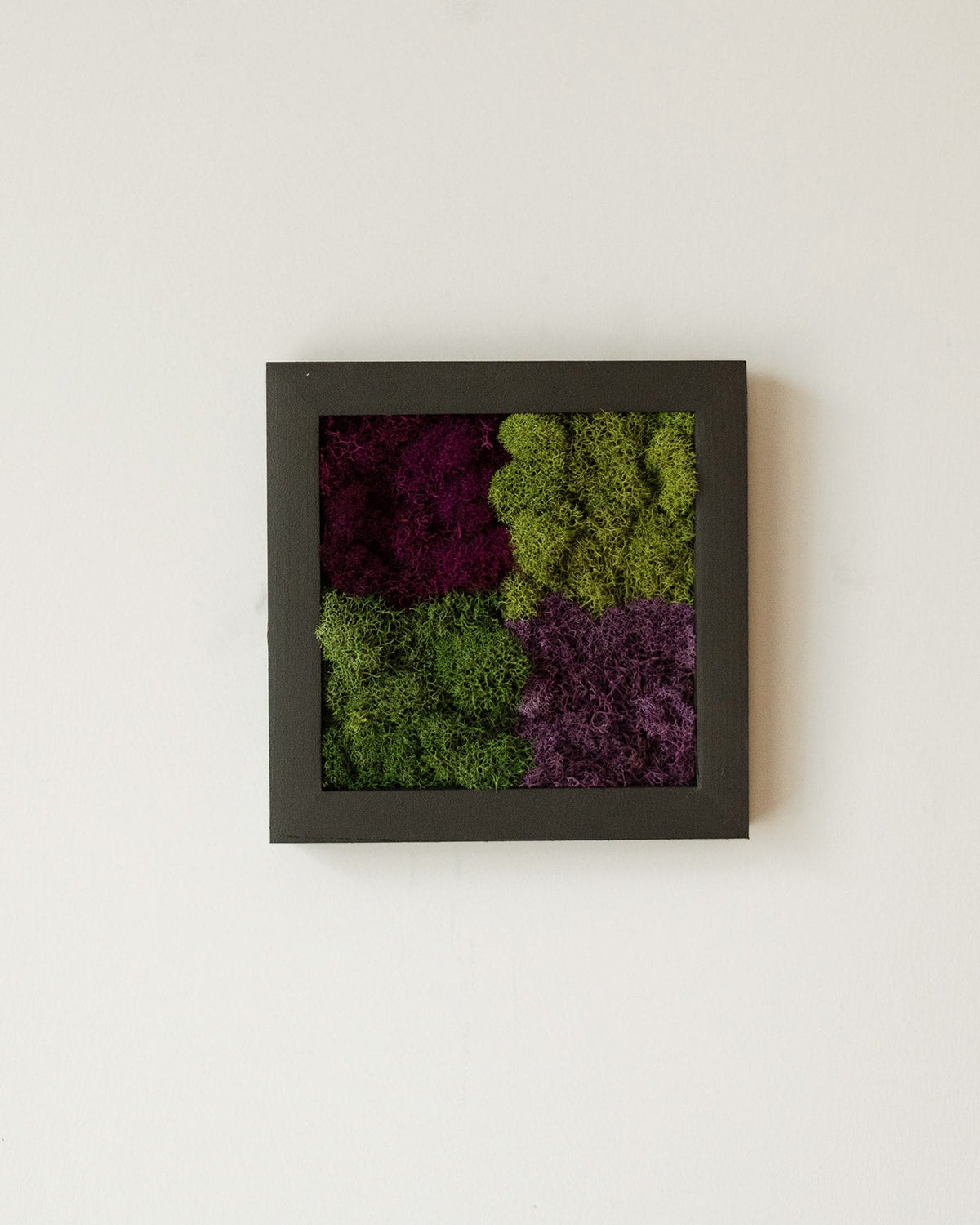 Solid Moss Co.