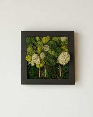 Multi-green Forest, Square