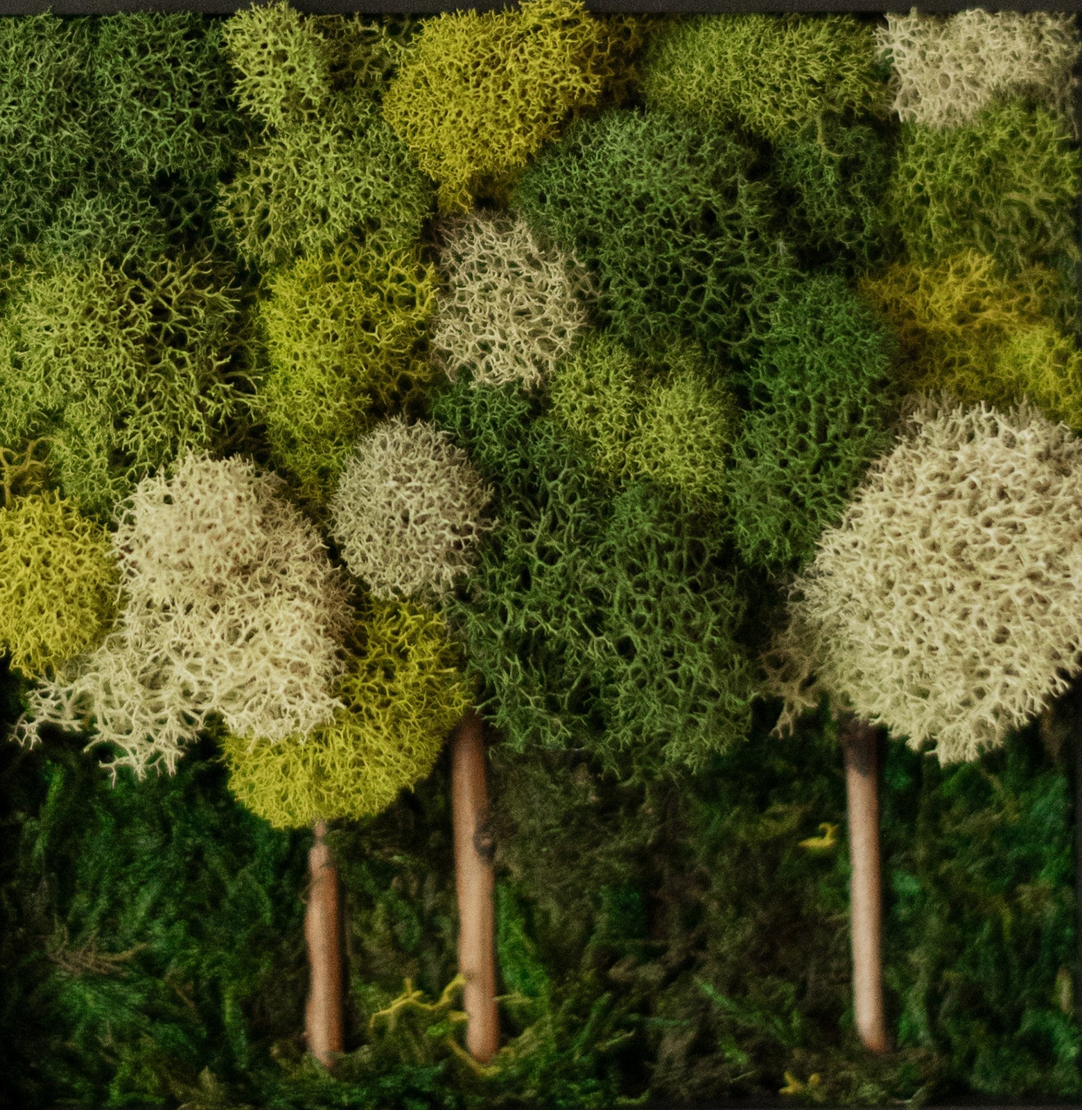 Multi-green Forest, Square