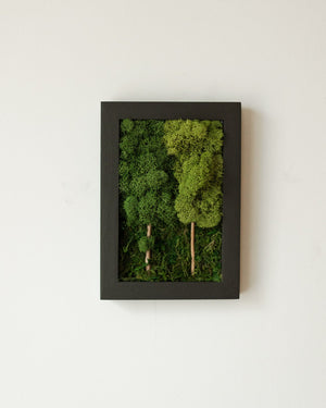 2 Tree Forest, Rectangle