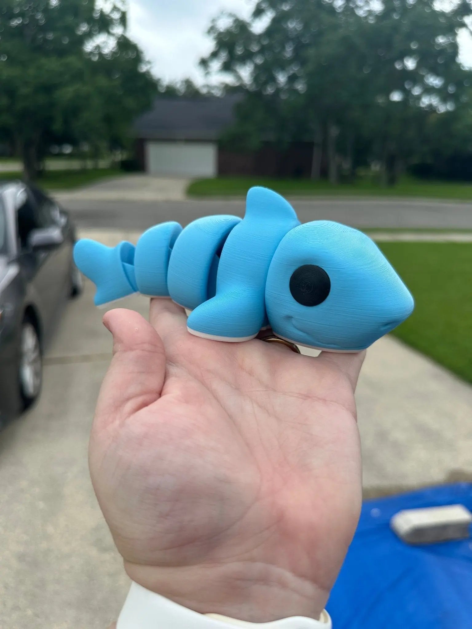 Shark 3D Printed Fidget Toy | Large Ocean Sensory Toy by Mushroom Lady Co, paper gift main product photo