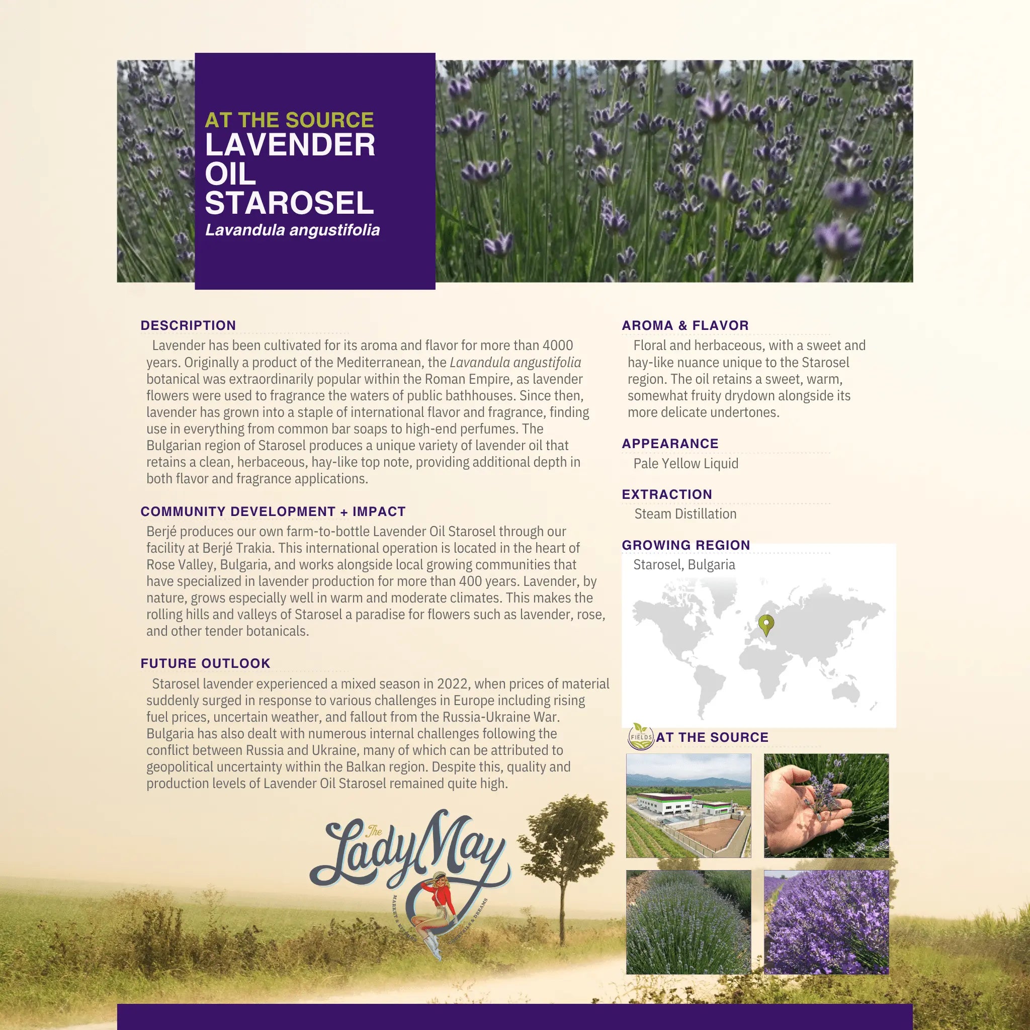 Lavender Tallow Gift Set - Premium Relaxation Bundle | Skincare, Candle & Soap The Lady May