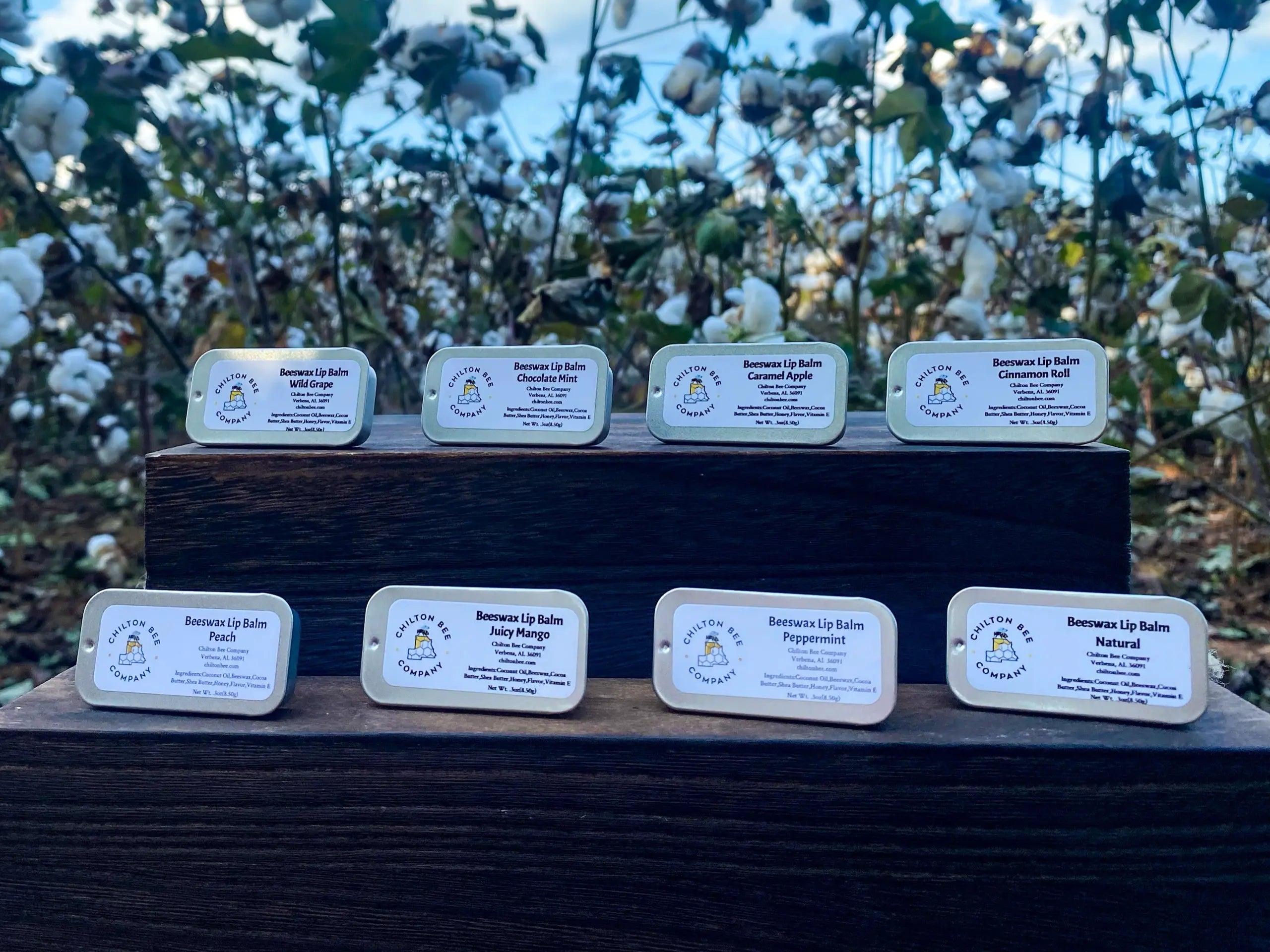 Assortment of Chilton Bee Company beeswax lip balm tins with various flavors displayed on a wooden surface, showcasing product labels.