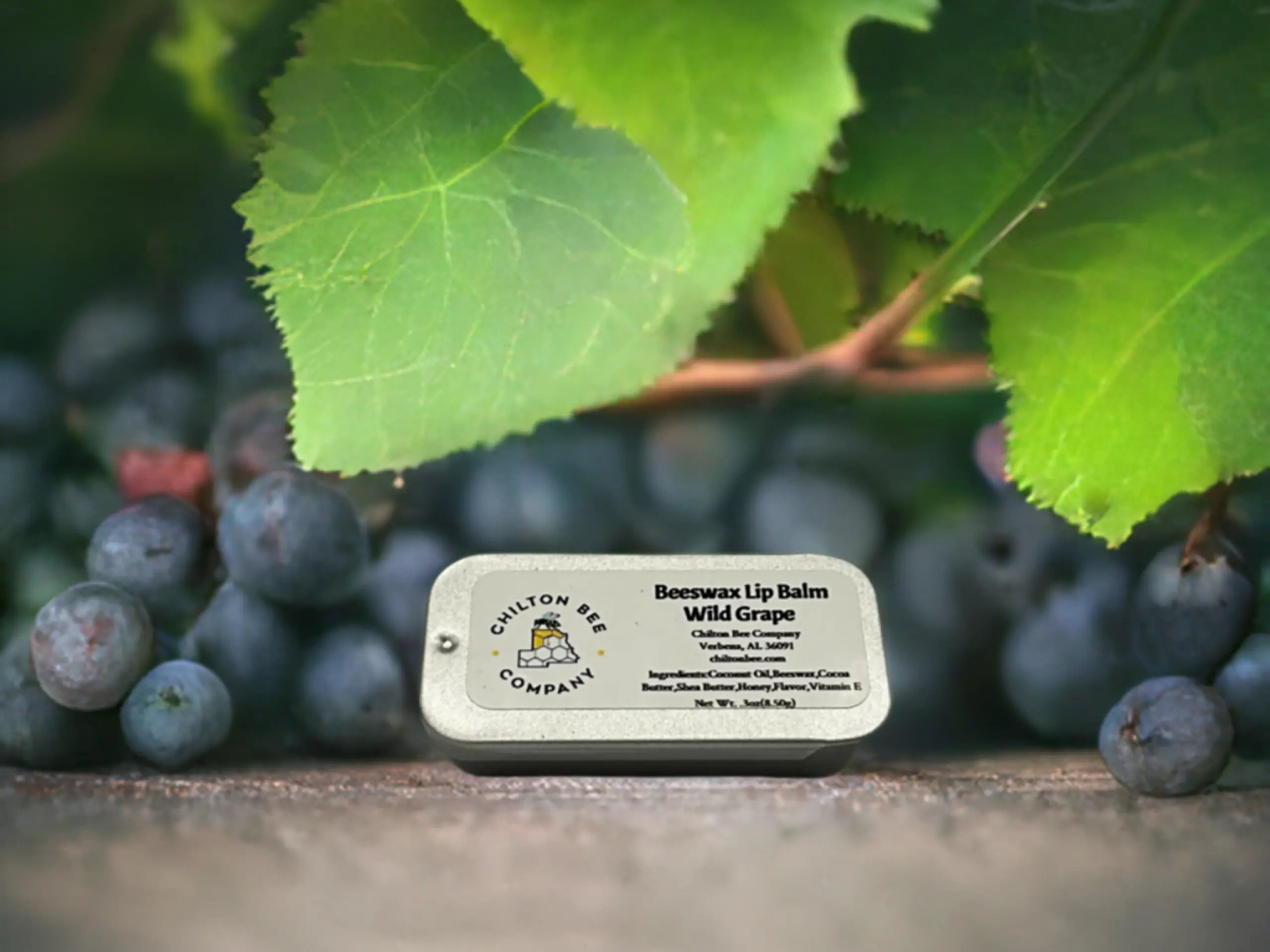 Chilton Bee Company lip balm tin in Wild Grape flavor, displayed among grapes and grape leaves.