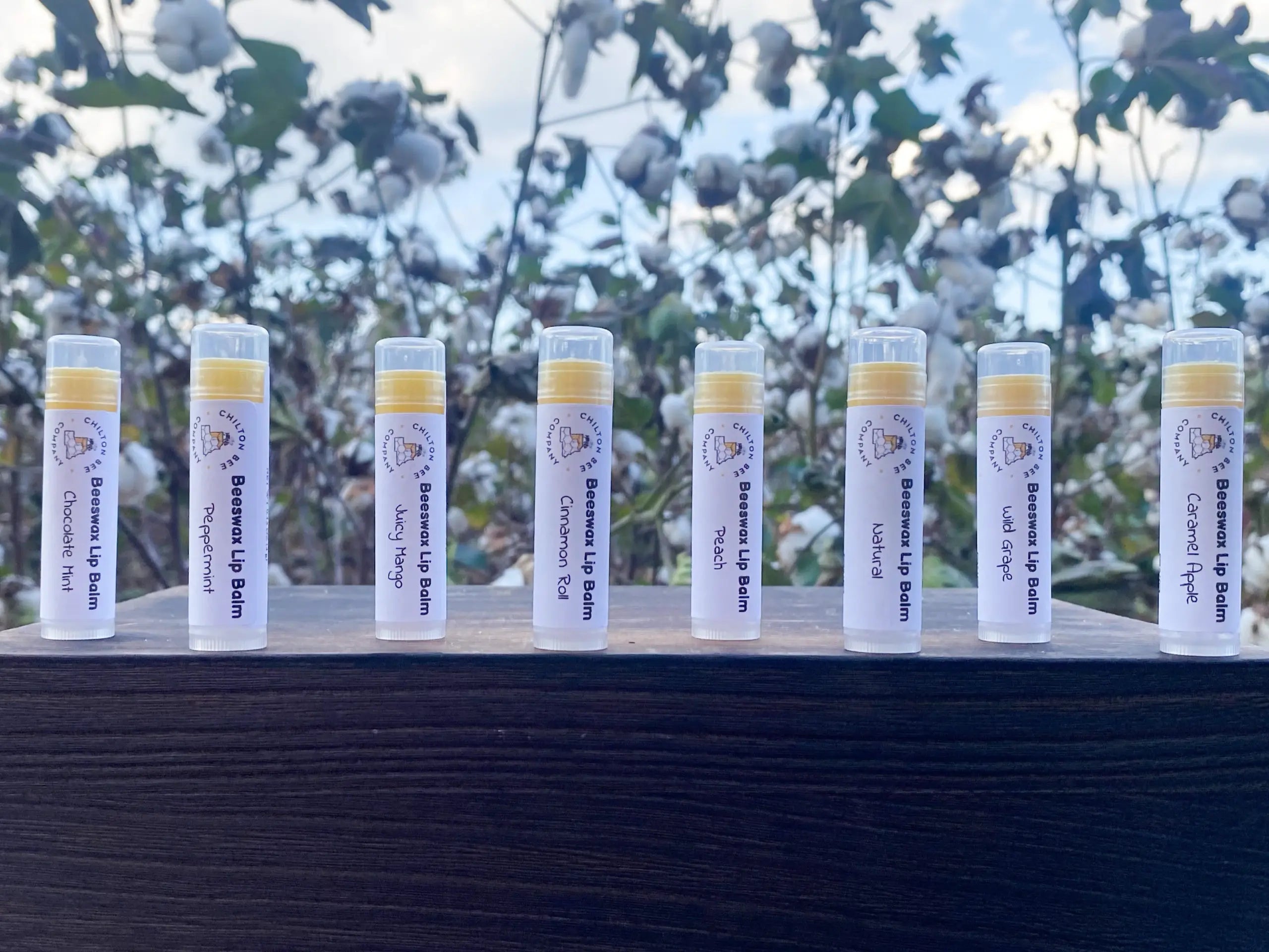 Honey Lip Balm Tubes by Chilton Bee Company