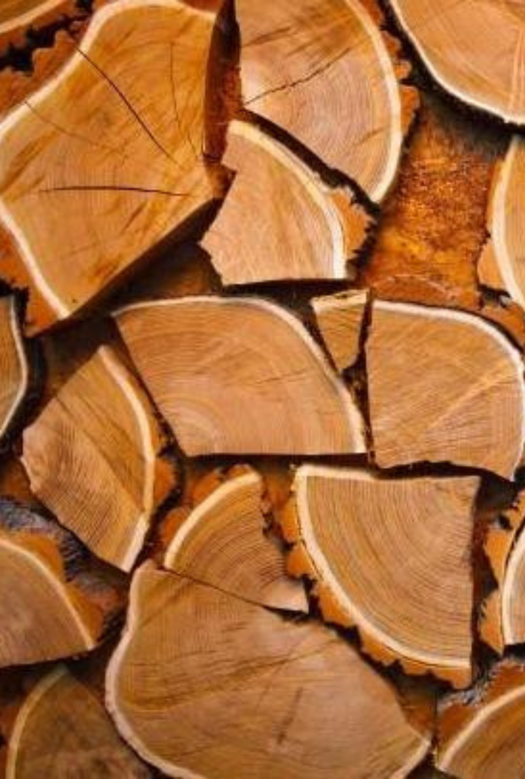 Palo Santo | Sacred Wood Scent by Bode + Ev image 5