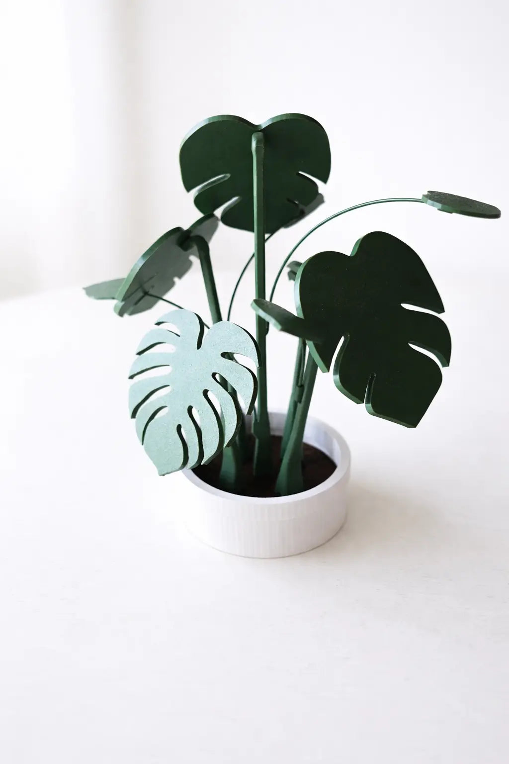 Monstera Coaster Set with Decorative Plant Holder – Modern Tropical Table Decor The Tween Space