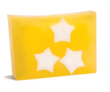 NORTHERN LIGHTS SOAP SLICE 5.5 oz. Essential Journeys