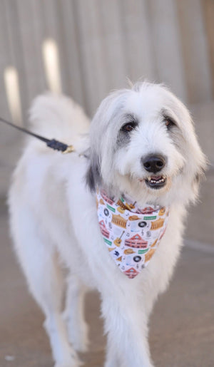 Nashville Tennessee Reversible Dog Bandana