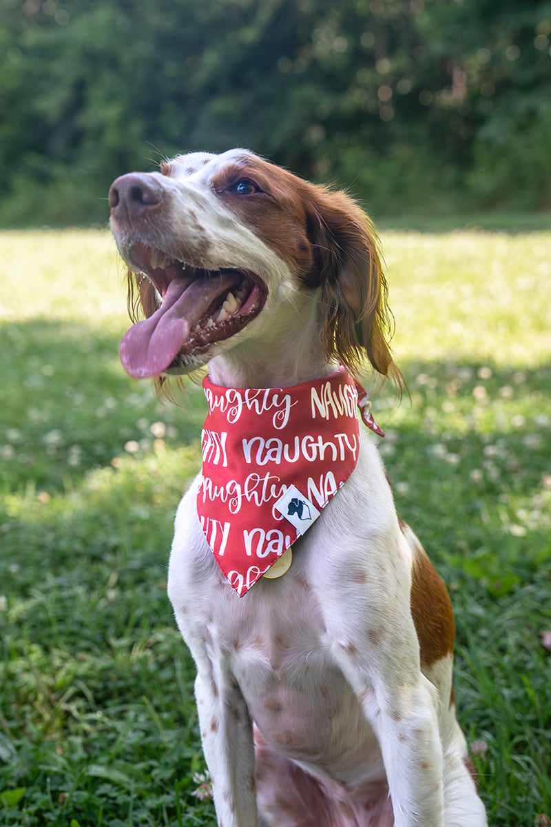 Naughty or Nice Christmas Reversible Dog Bandana by Dog Bandana Co., product view 3