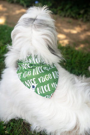 Naughty or Nice Christmas Reversible Dog Bandana by Dog Bandana Co., product view 4