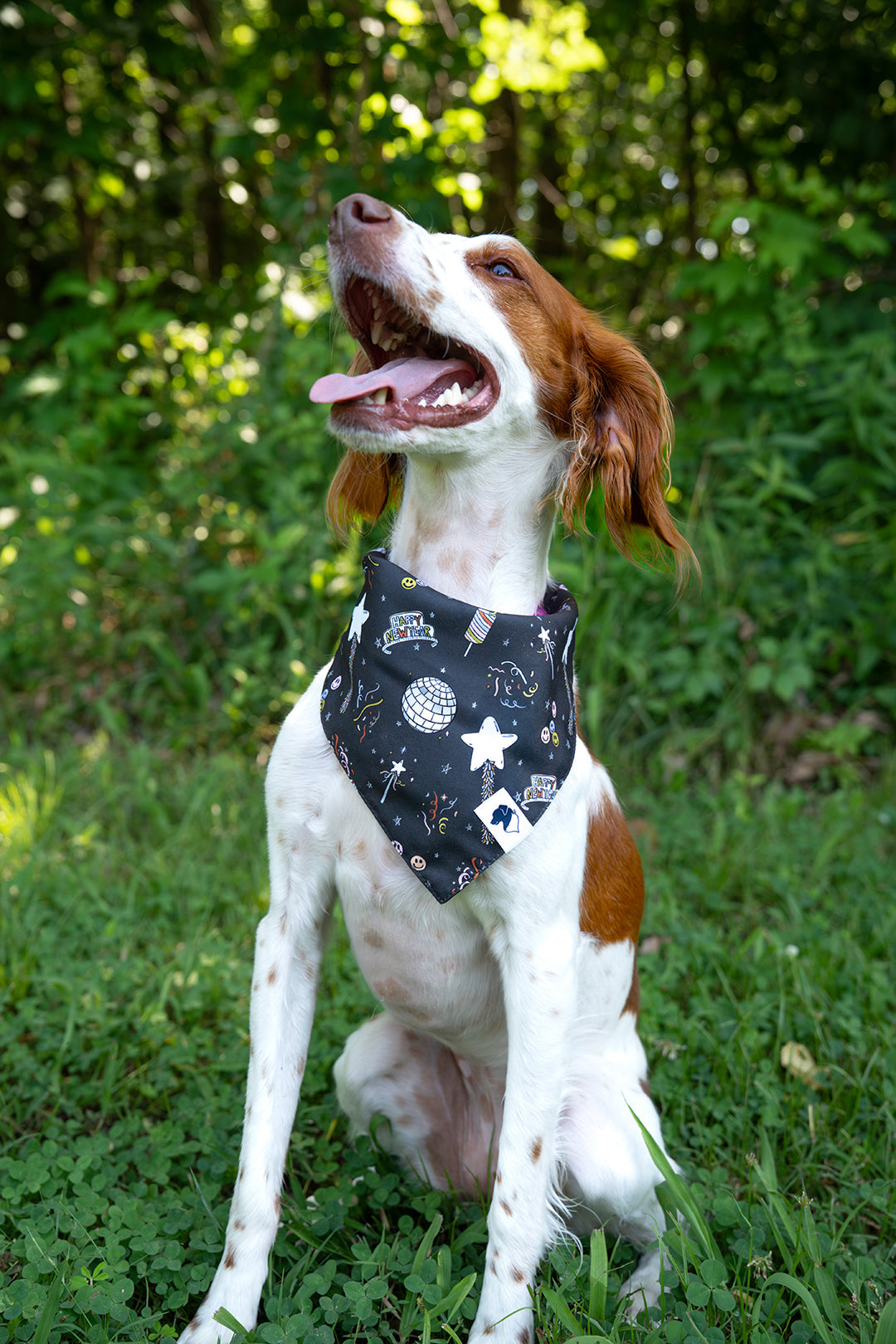 New Year’s Eve Reversible Dog Bandana by Dog Bandana Co., product view 3