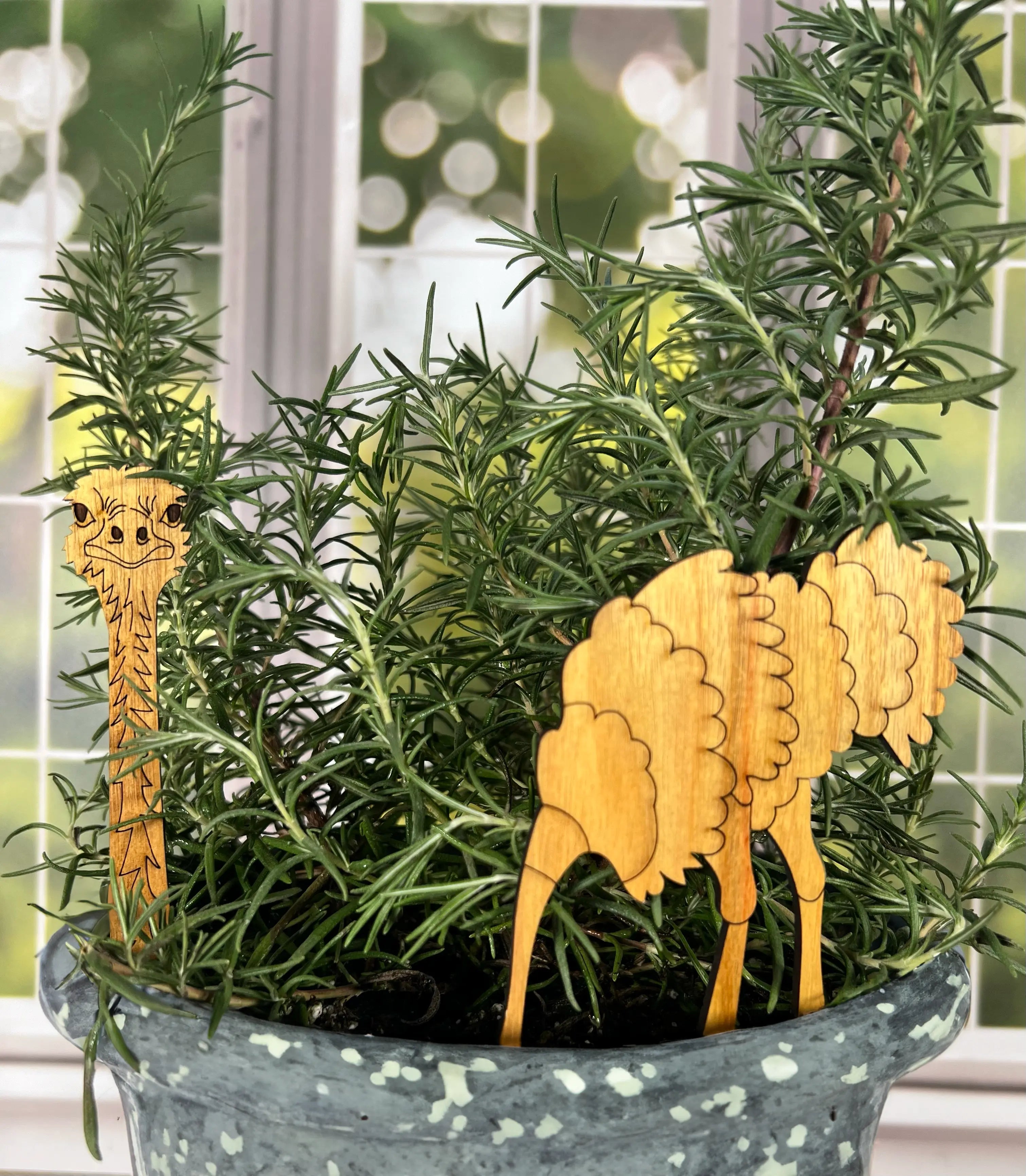 Wooden ostrich plant picks in a rosemary plant in a pot