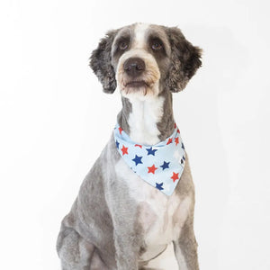 Patriotic Summer Dog Bandana by Dog Bandana Co., pet accessory detail photo 4