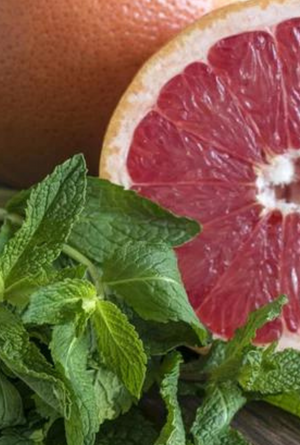 Grapefruit + Mint | Fresh Citrus · Herbal by Bode + Ev image 2