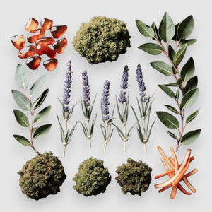 Lavender Oak- Reed Diffuser