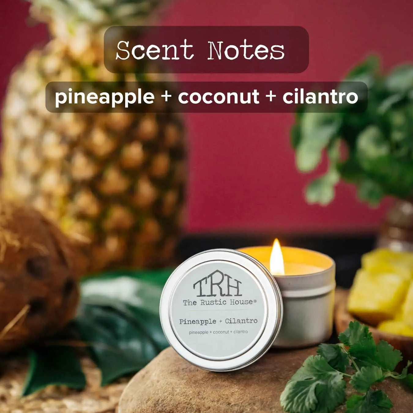 Pineapple + Cilantro Travel Tin The Rustic House